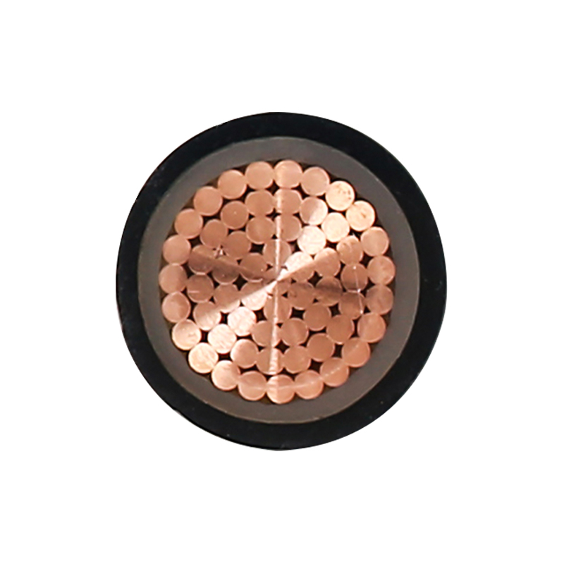 EV-ladekabel for merkespenning 450/750V