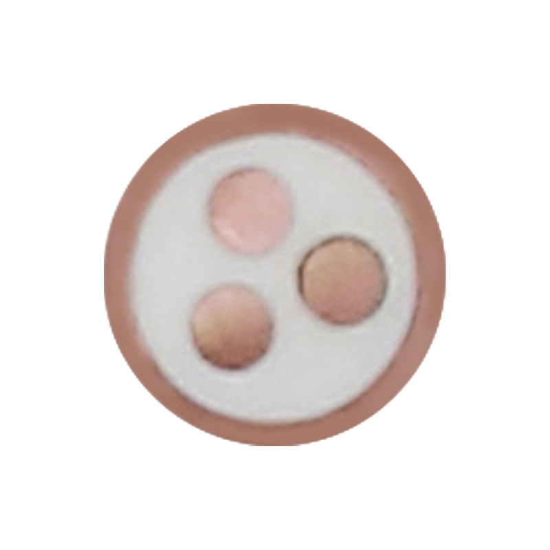 EV-ladekabel for merkespenning 450/750V