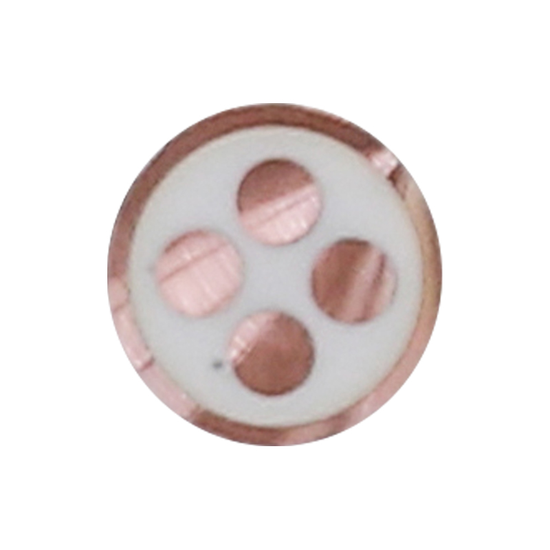 EV-ladekabel for merkespenning 450/750V