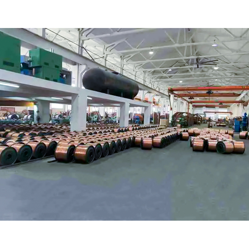 XLPE/PVC isolert kabel (ledning) nominell spenning opptil og inkludert 450/750V